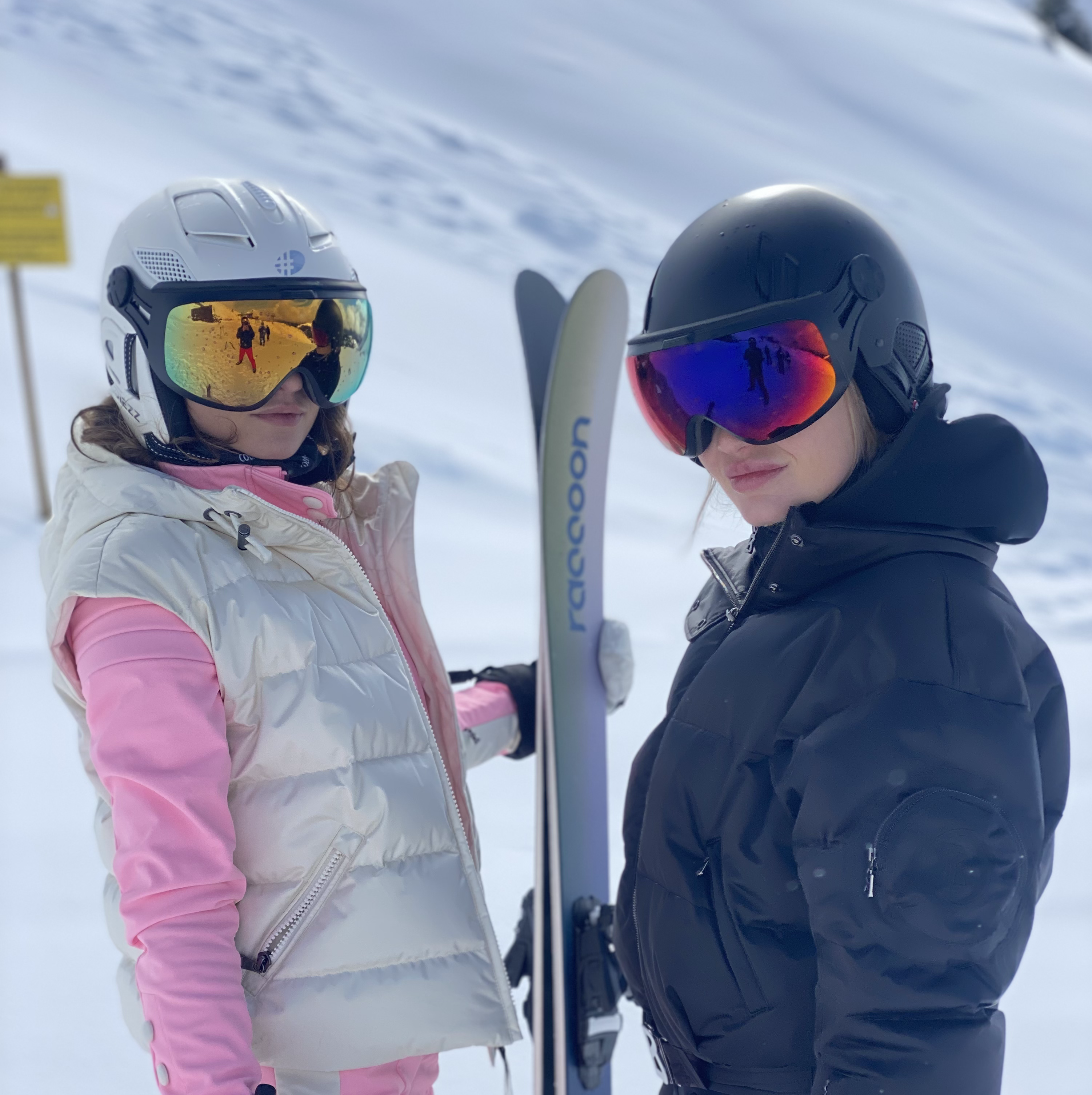 Visières pour casques de ski