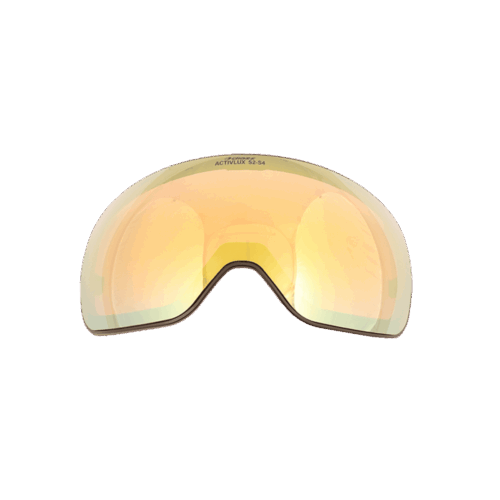 ECRAN Mask VIZZION Polar ActivLux S2-S4 - BLACK