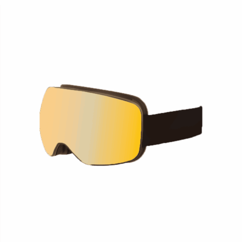 MASQUE VIZZION POLAR ActivLux S2-4 + S1 - BLACK